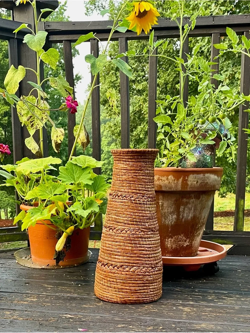 Cherokee Native American North Carolina Handwoven Pine Needle Primitive Basket